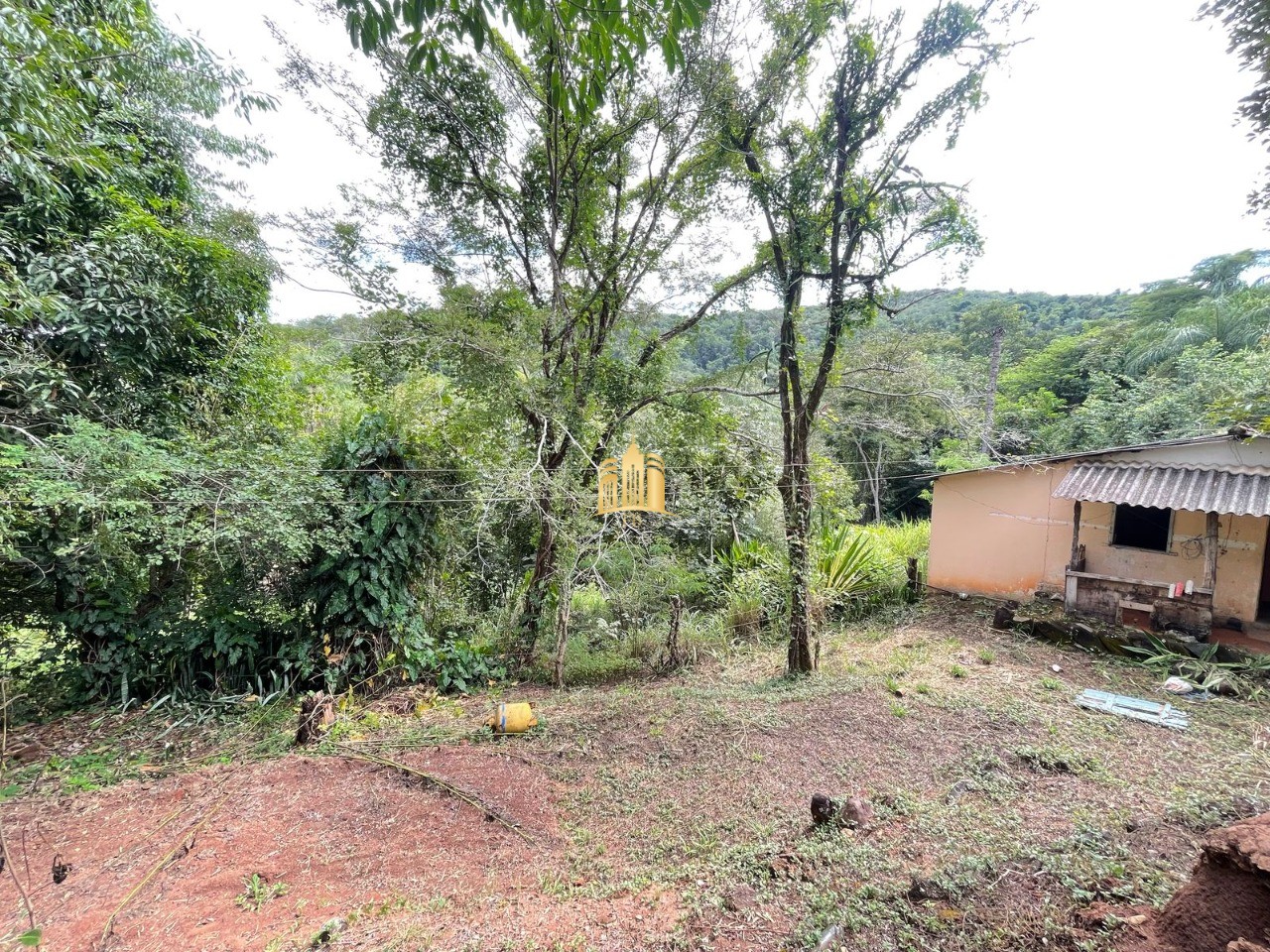 Sítio, 5 quartos, 4 hectares - Foto 17