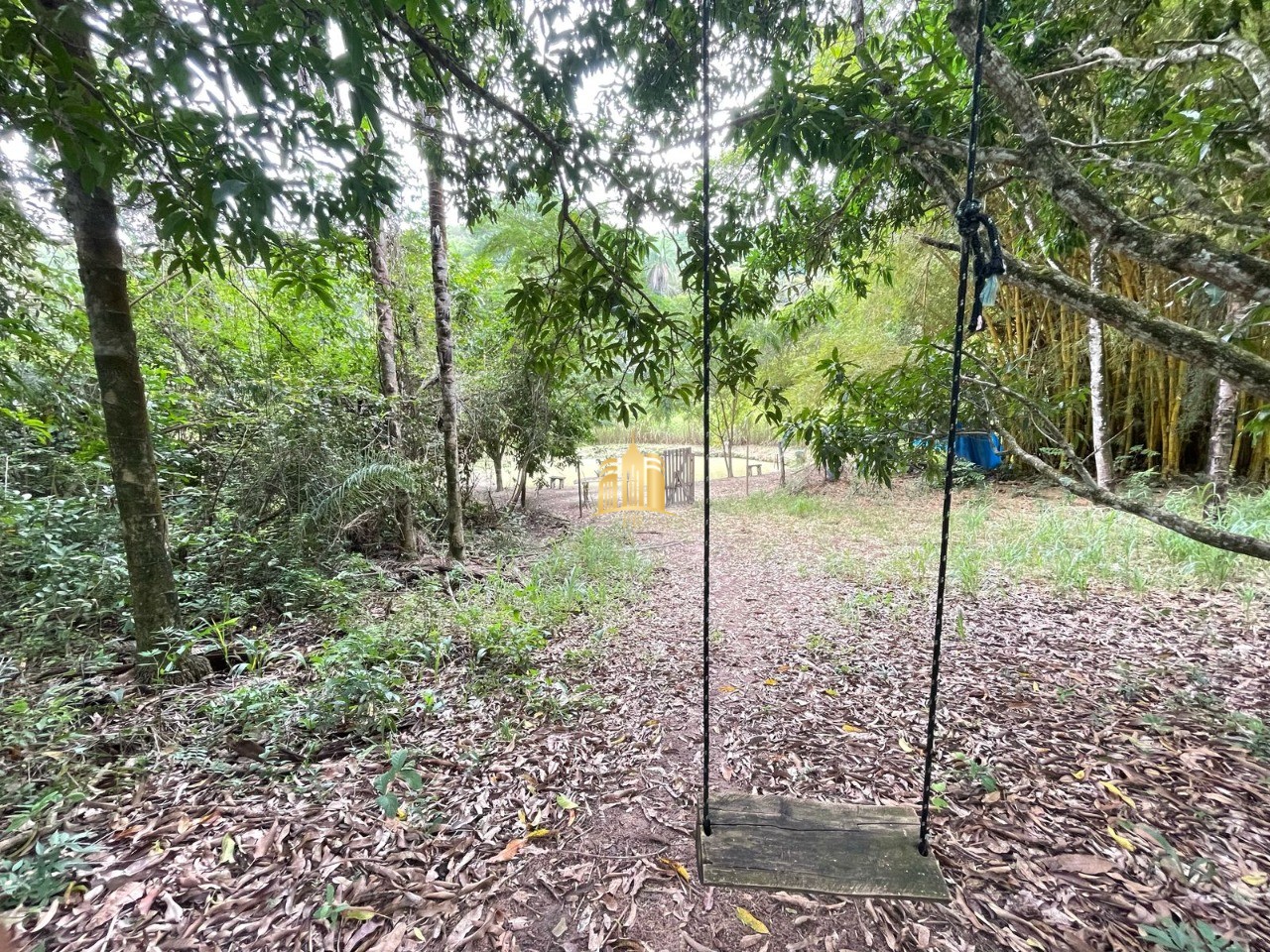 Sítio, 5 quartos, 4 hectares - Foto 15