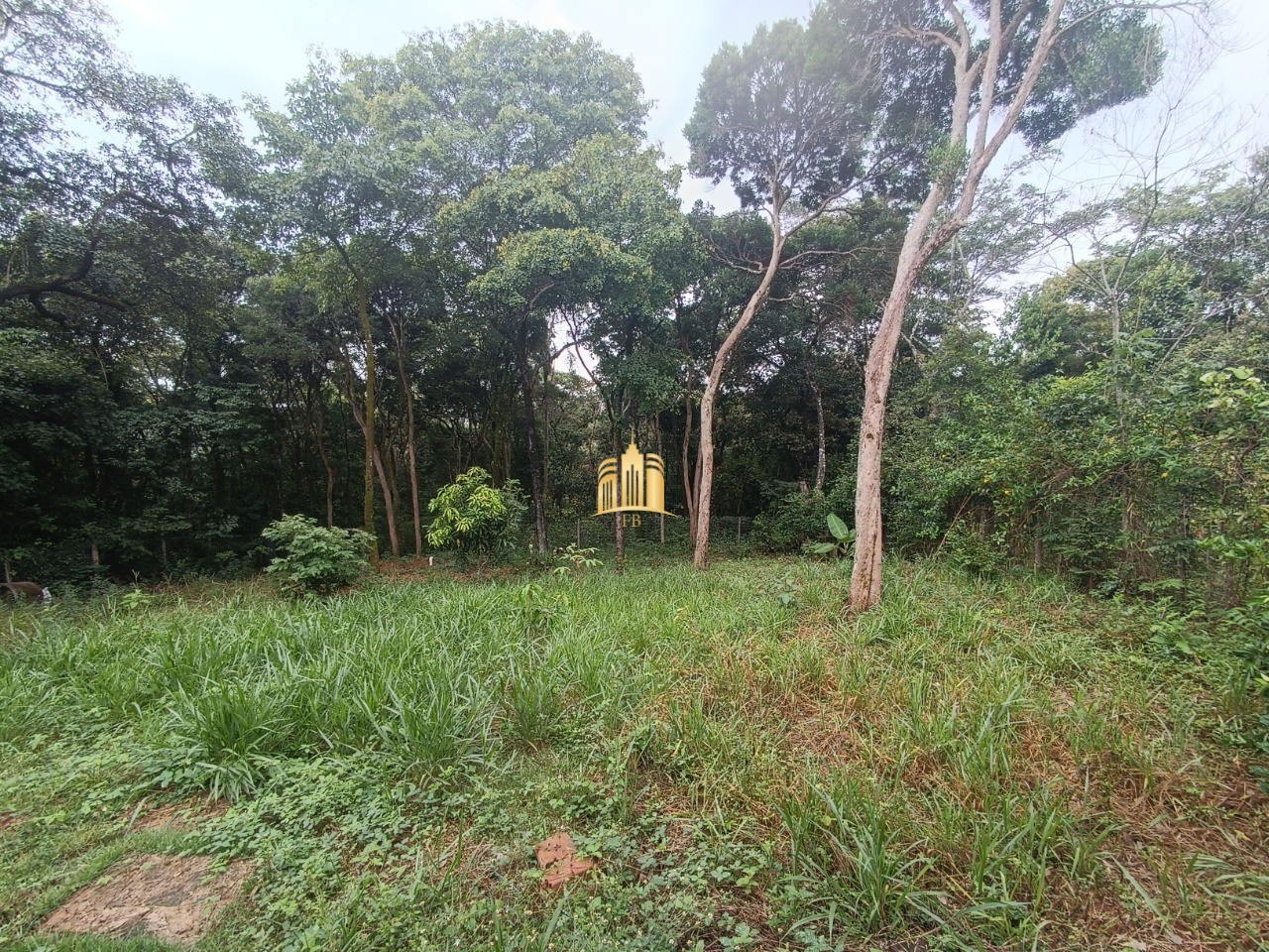 Sítio, 3 quartos, 5000 m² - Foto 28
