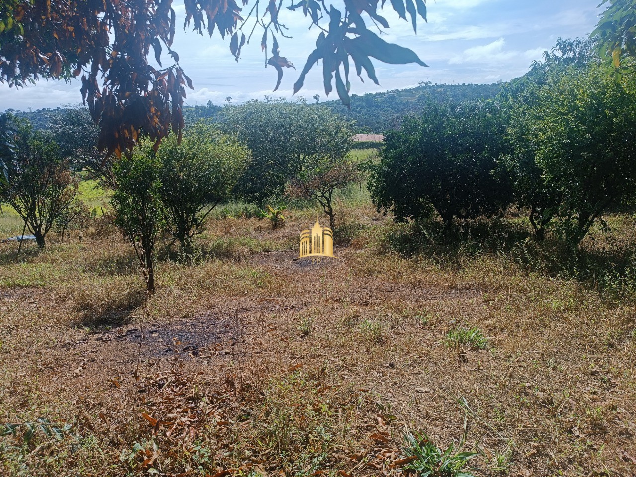 Sítio, 6 quartos, 5000 m² - Foto 8