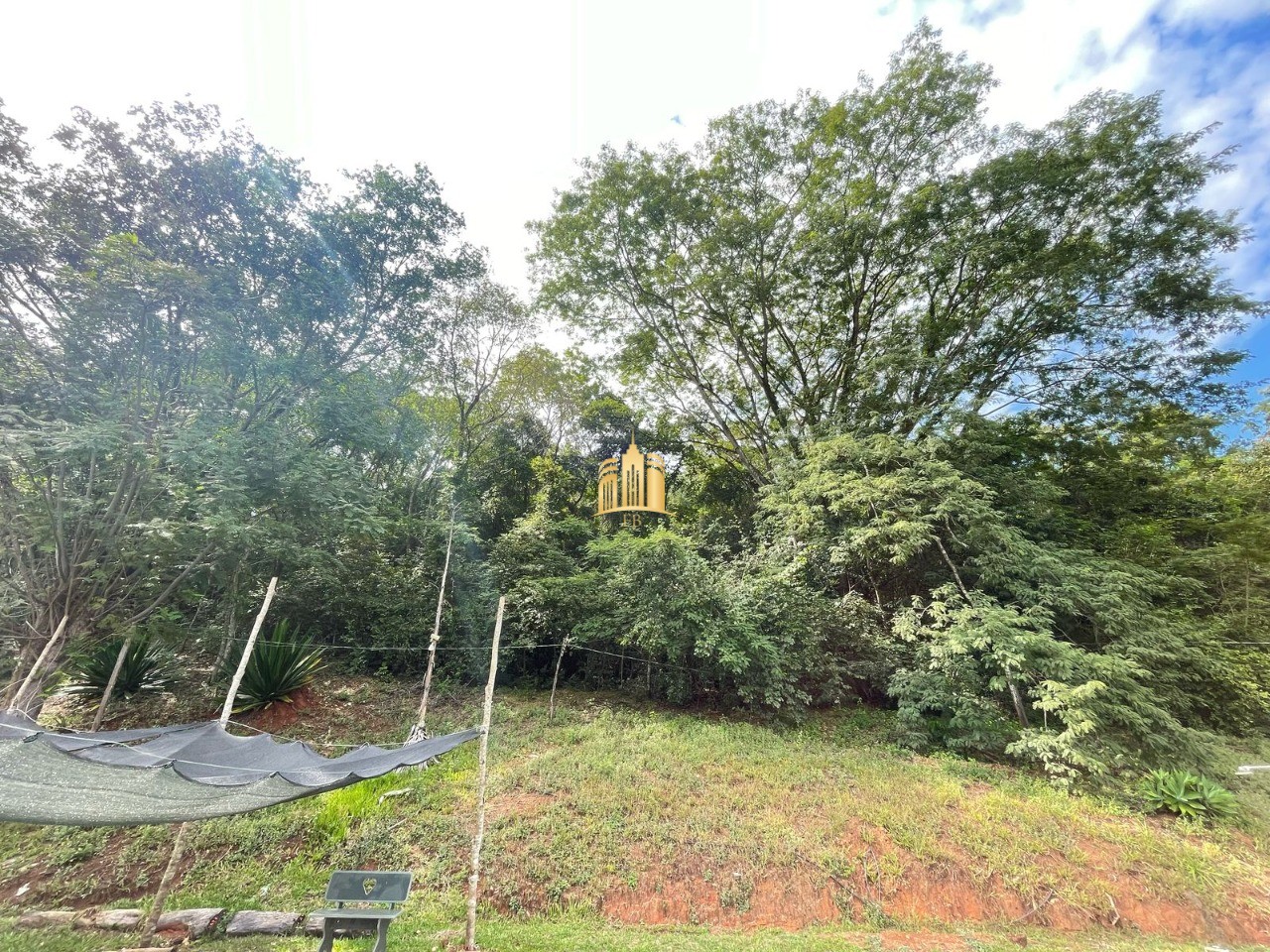 Sítio, 5 quartos, 4 hectares - Foto 18