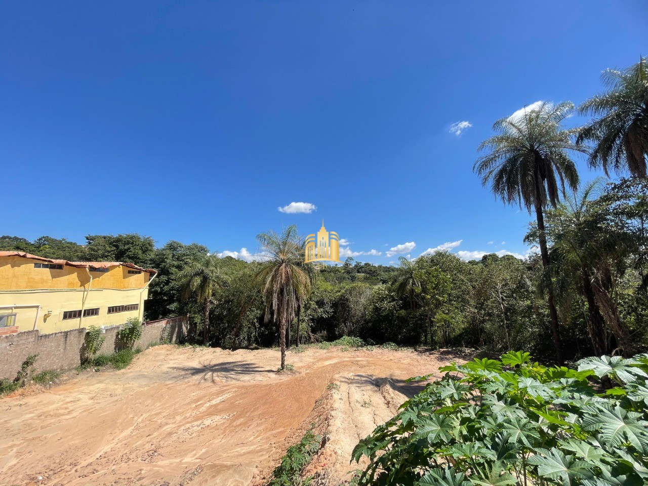 Terreno, 5000 m² - Foto 4