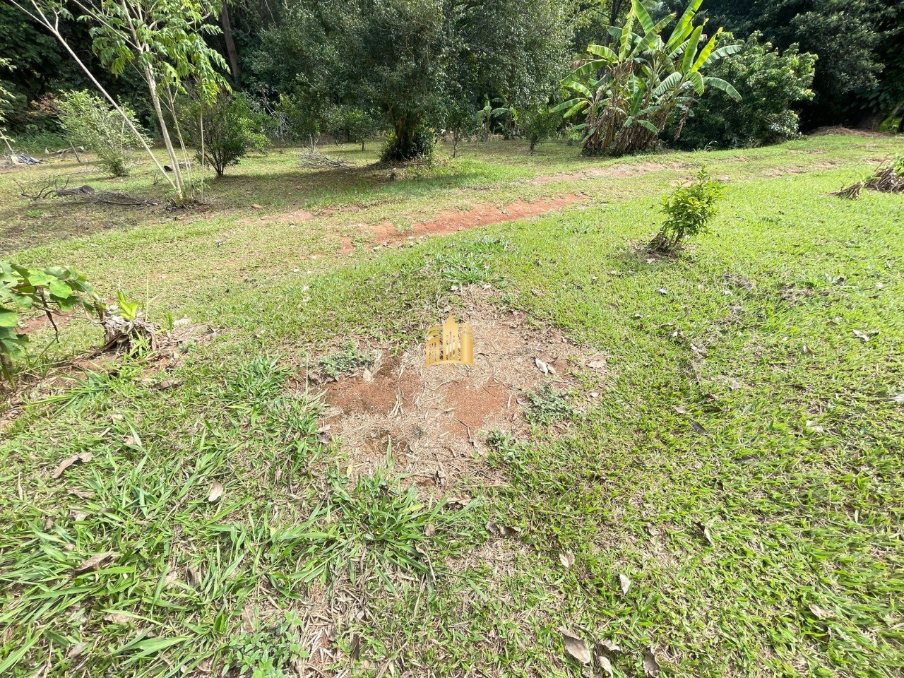 Sítio, 5 quartos, 4 hectares - Foto 35