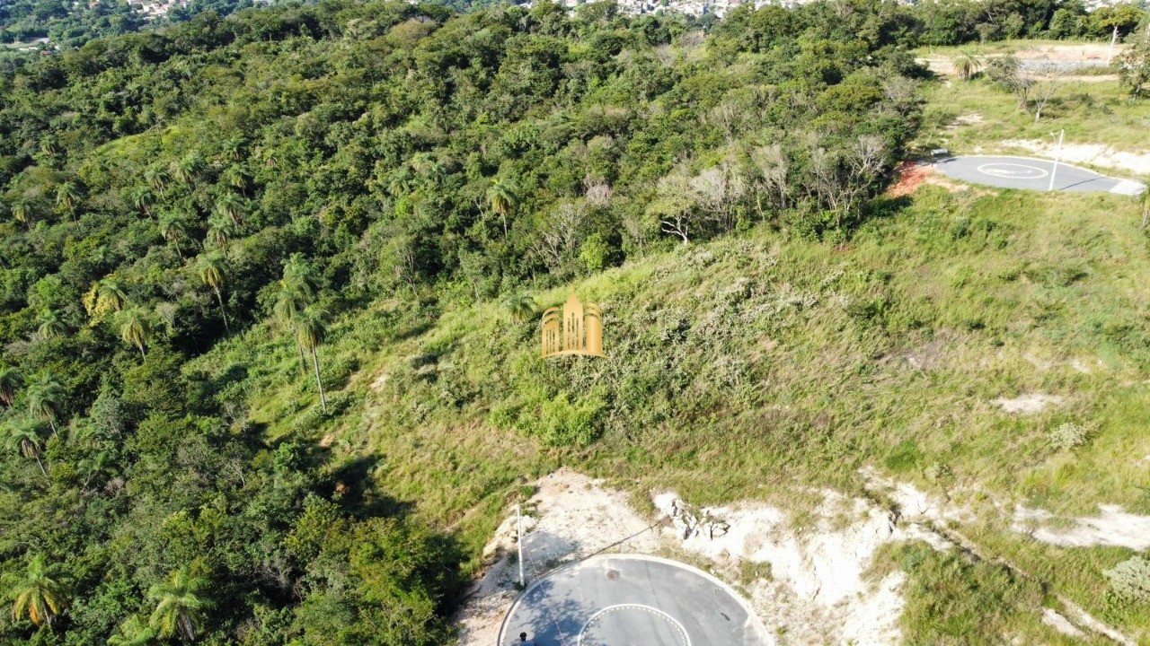 Terreno, 6009 m² - Foto 8