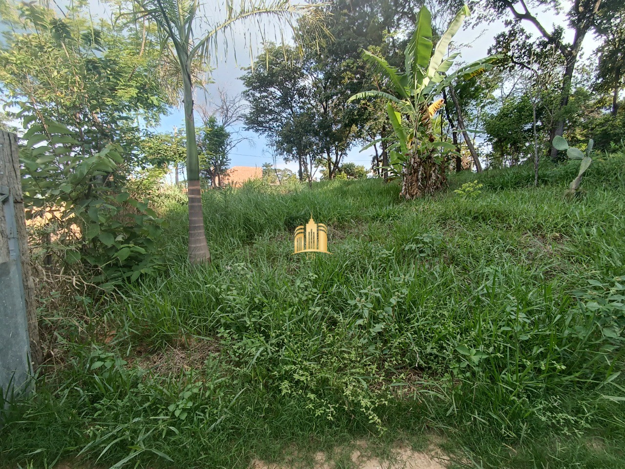 Sítio, 4 quartos, 2000 m² - Foto 30