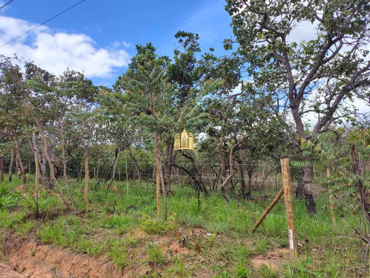 Terreno, 360 m² - Foto 8
