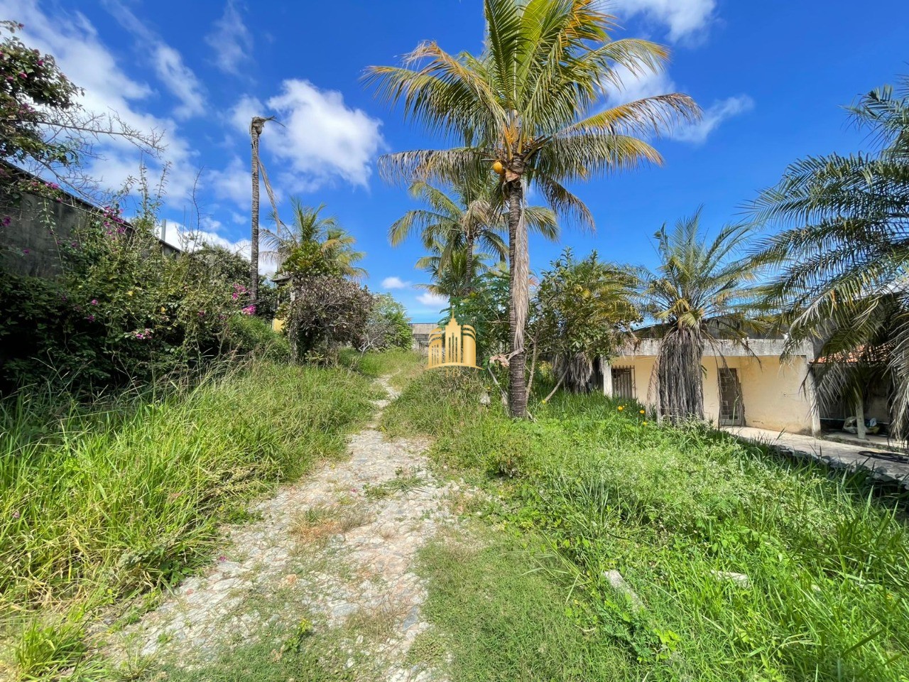 Terreno, 4221 m² - Foto 6
