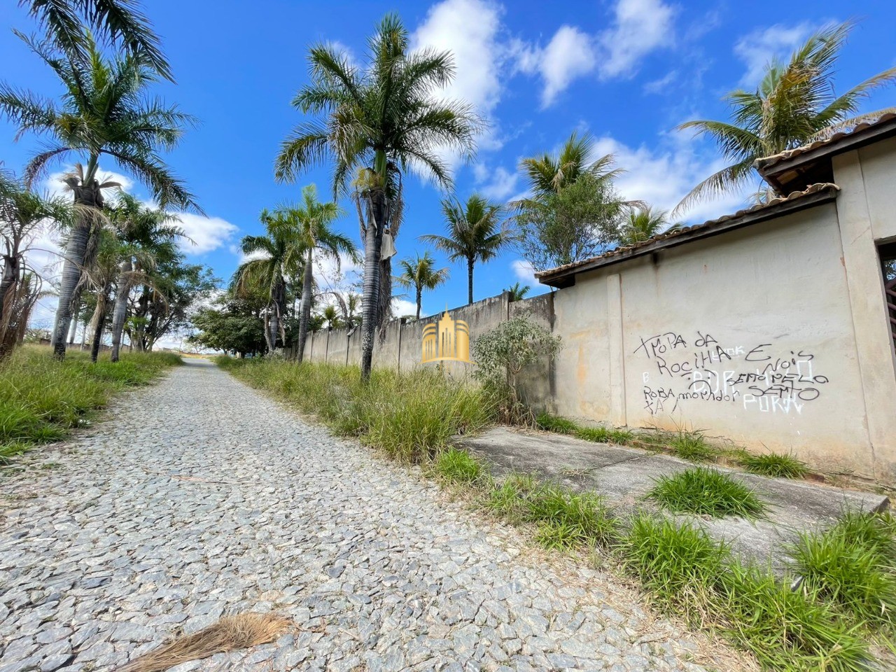 Terreno, 4221 m² - Foto 4