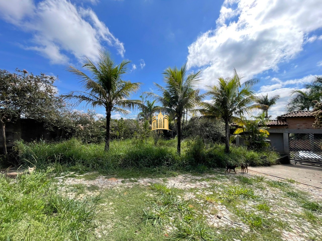 Terreno, 4221 m² - Foto 9