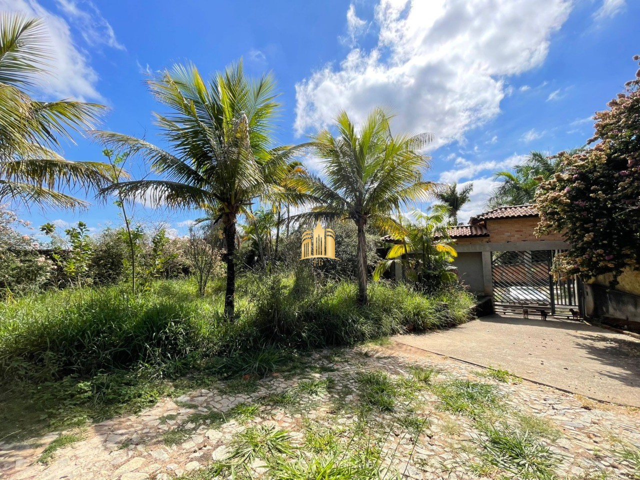 Terreno, 4221 m² - Foto 5