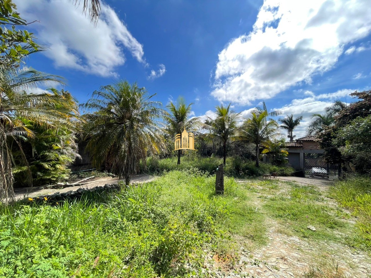 Terreno, 4221 m² - Foto 8