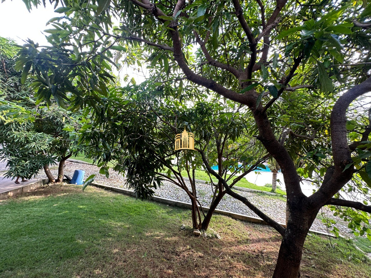 Sítio, 8 quartos, 2500 m² - Foto 25