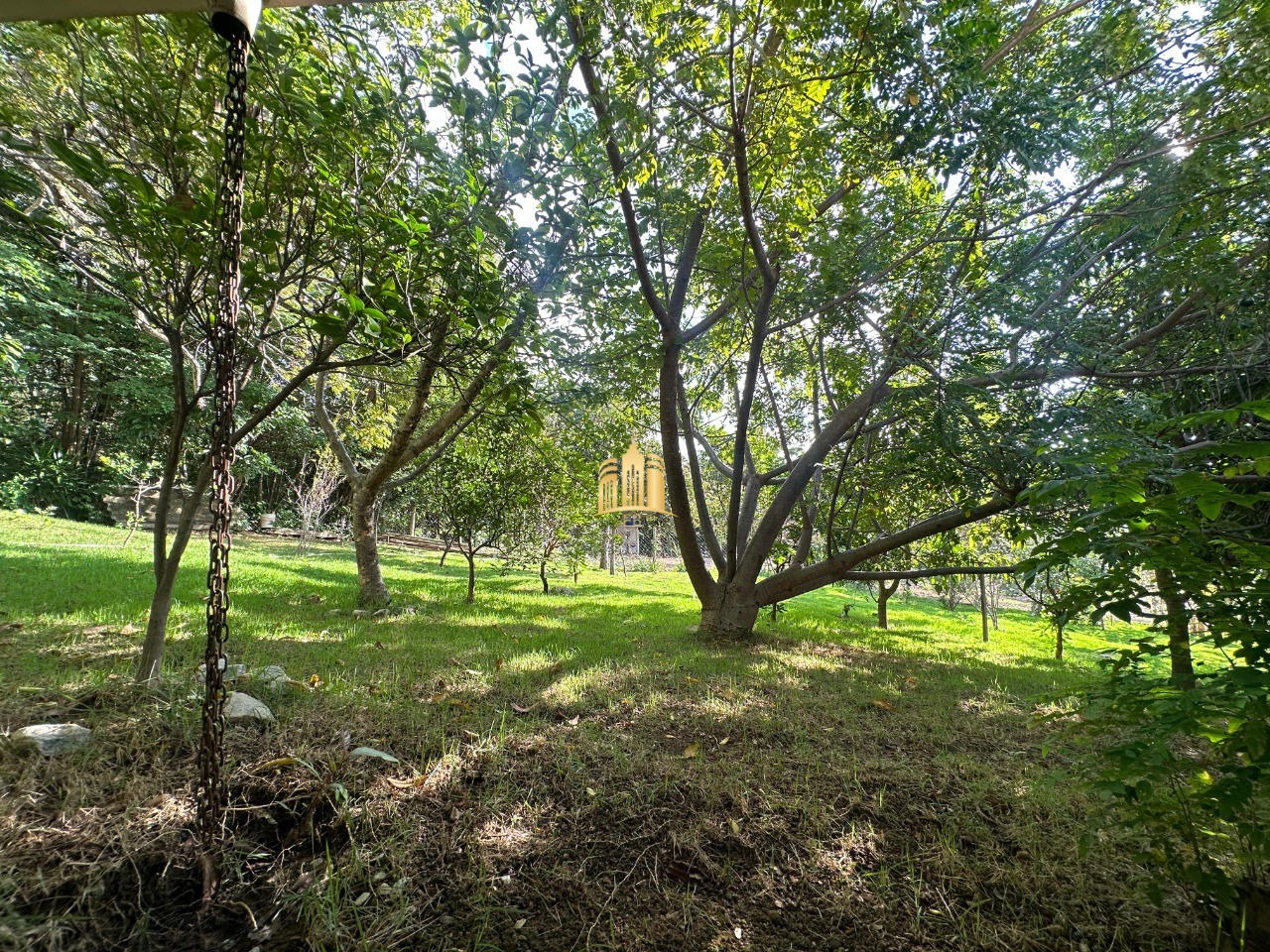 Sítio, 8 quartos, 2500 m² - Foto 36