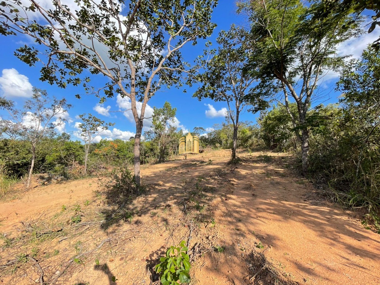 Terreno, 5000 m² - Foto 5