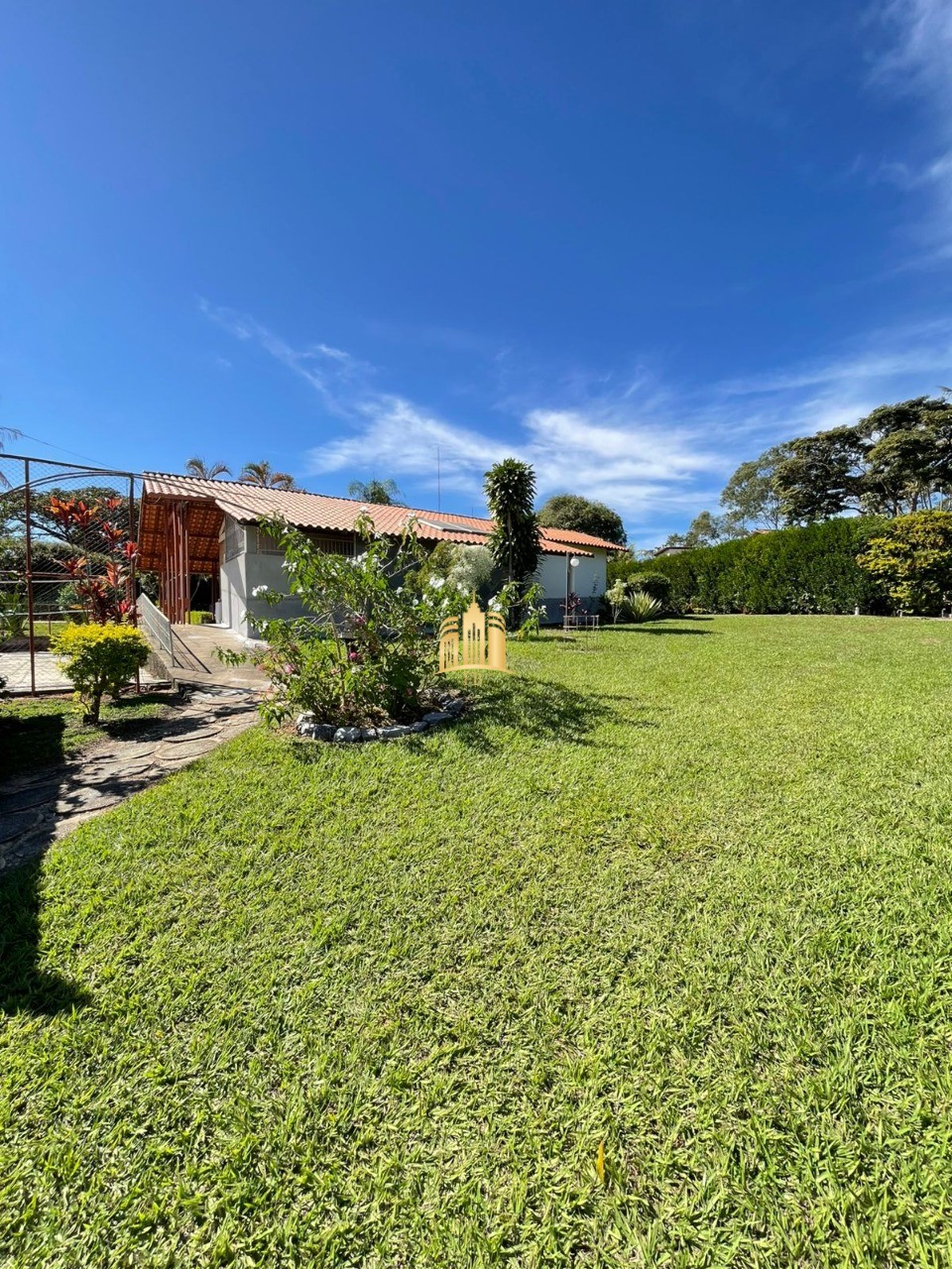 Sítio, 4 quartos, 4650 m² - Foto 5