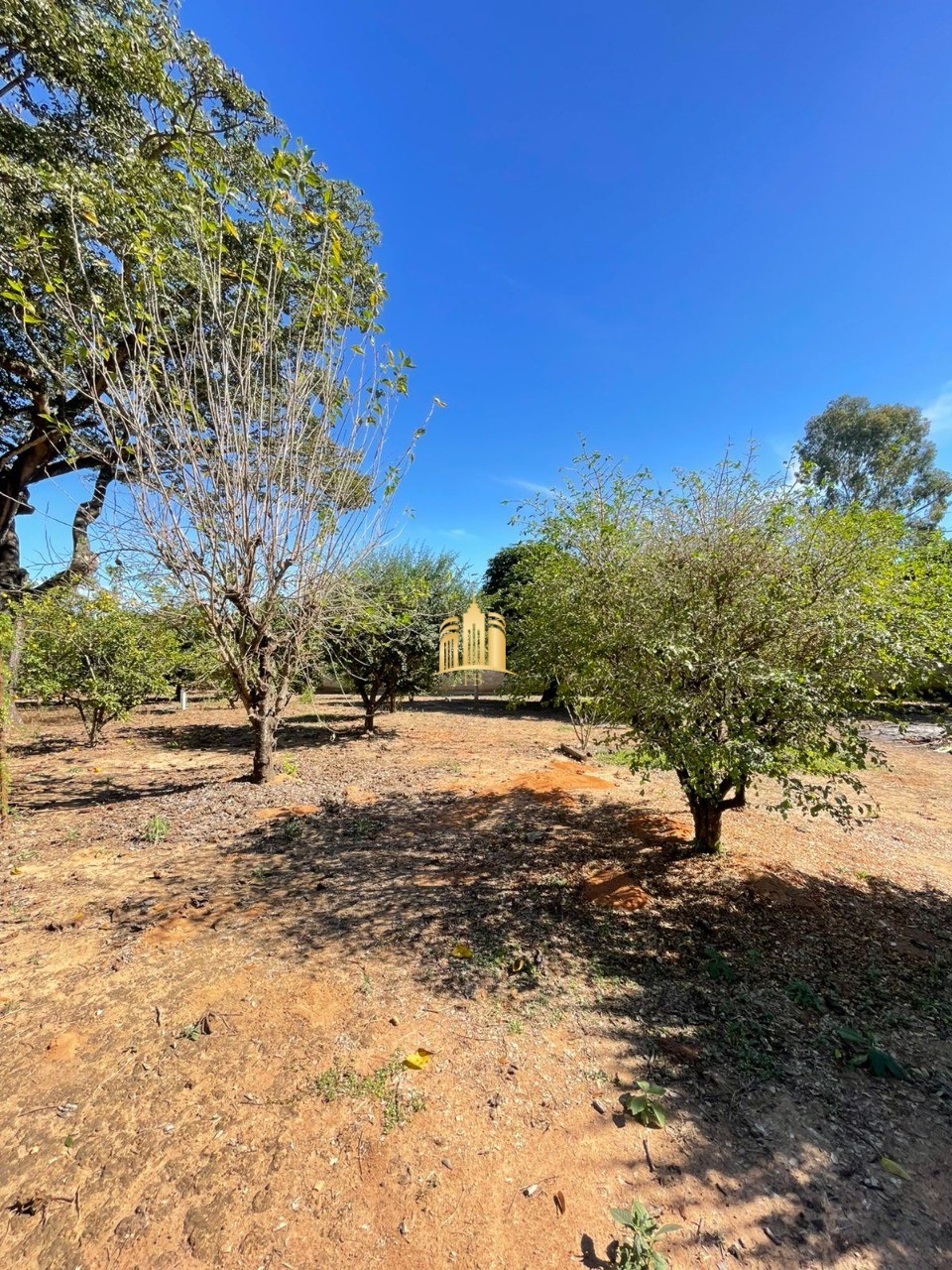 Sítio, 4 quartos, 4650 m² - Foto 18