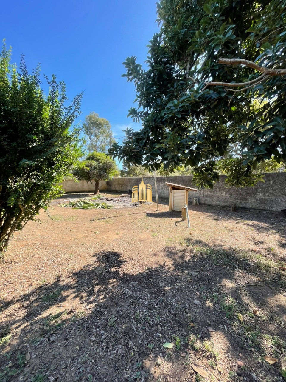 Sítio, 4 quartos, 4650 m² - Foto 14