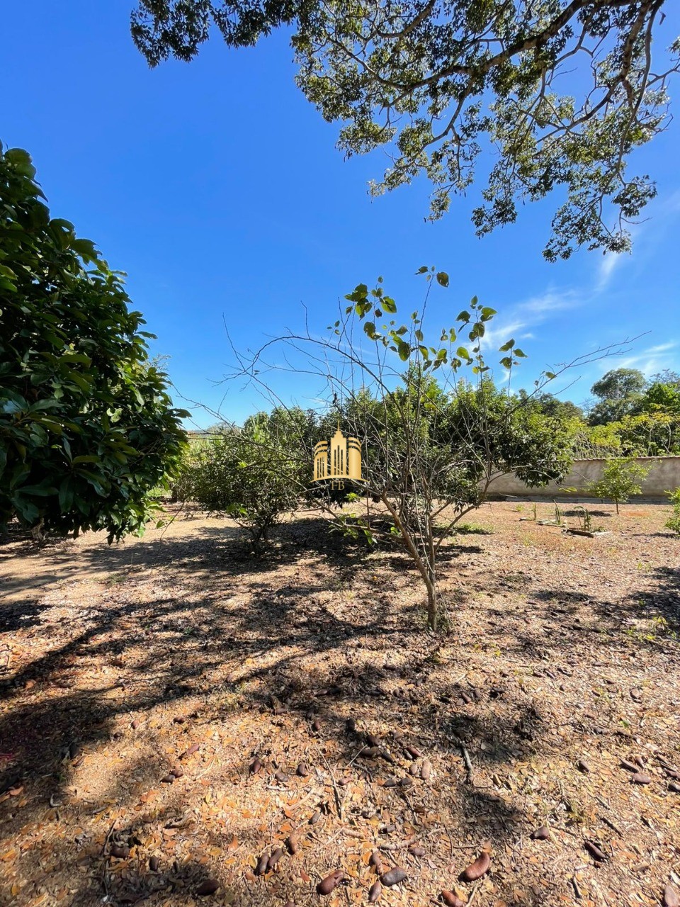 Sítio, 4 quartos, 4650 m² - Foto 22