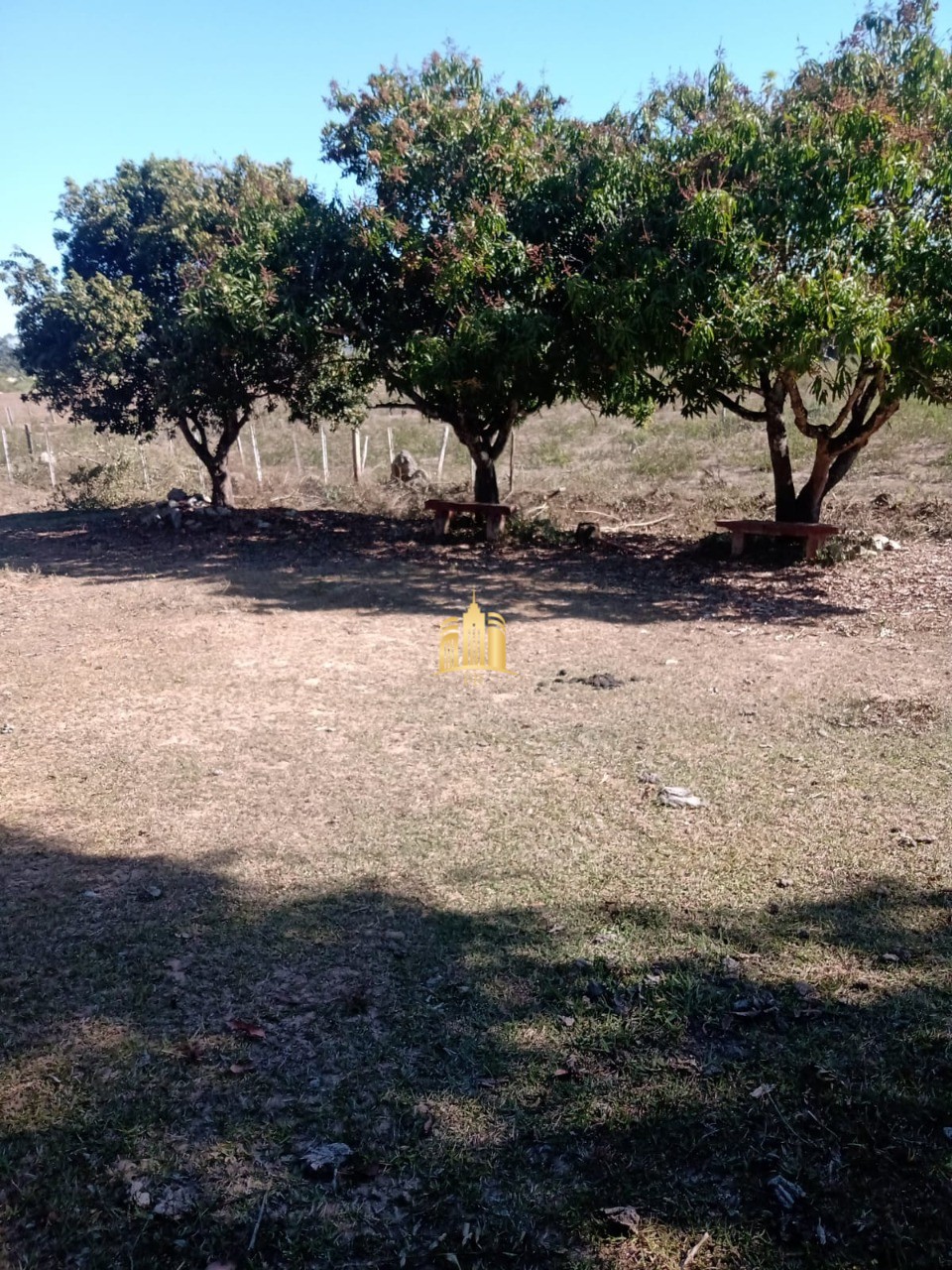 Sítio, 3 quartos, 2 hectares - Foto 4