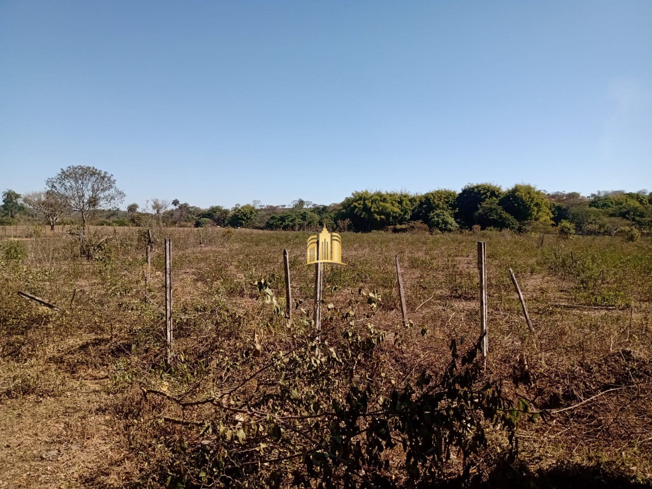 Sítio, 3 quartos, 2 hectares - Foto 23