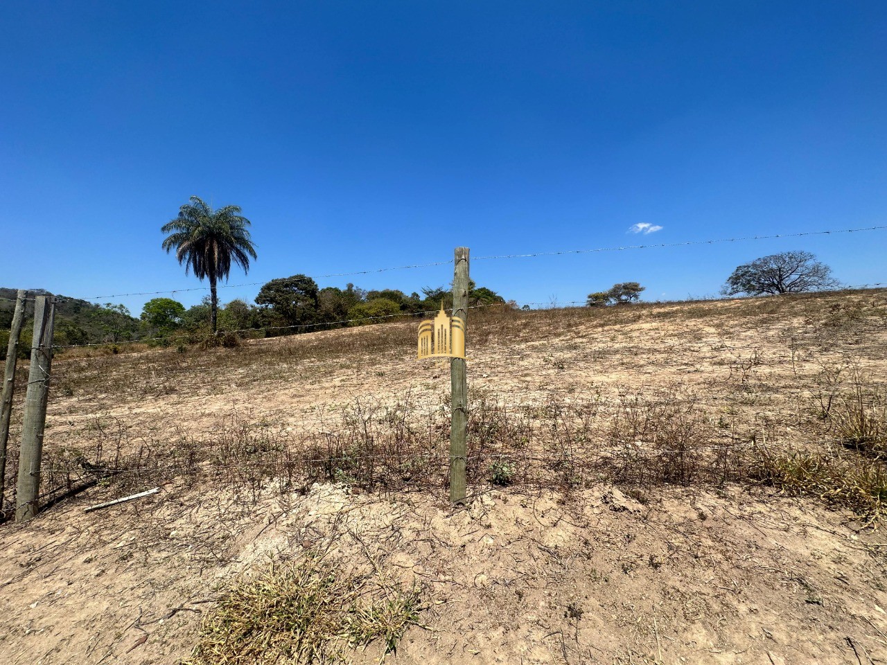 Chácara, 2 hectares - Foto 8