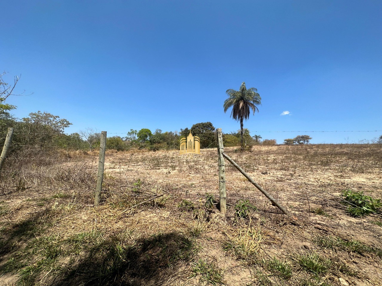 Chácara, 2 hectares - Foto 11