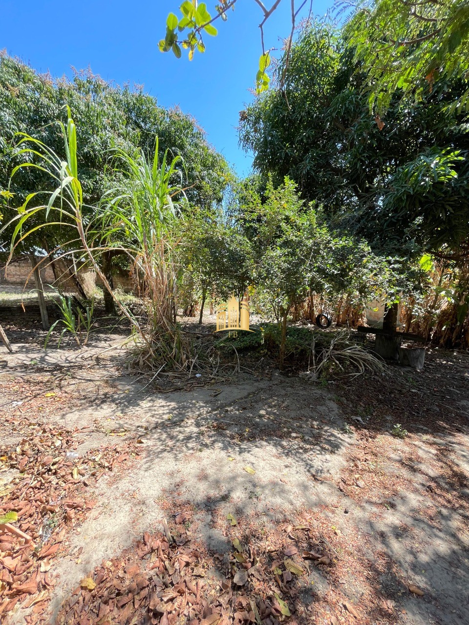Sítio, 4 quartos, 1440 m² - Foto 35