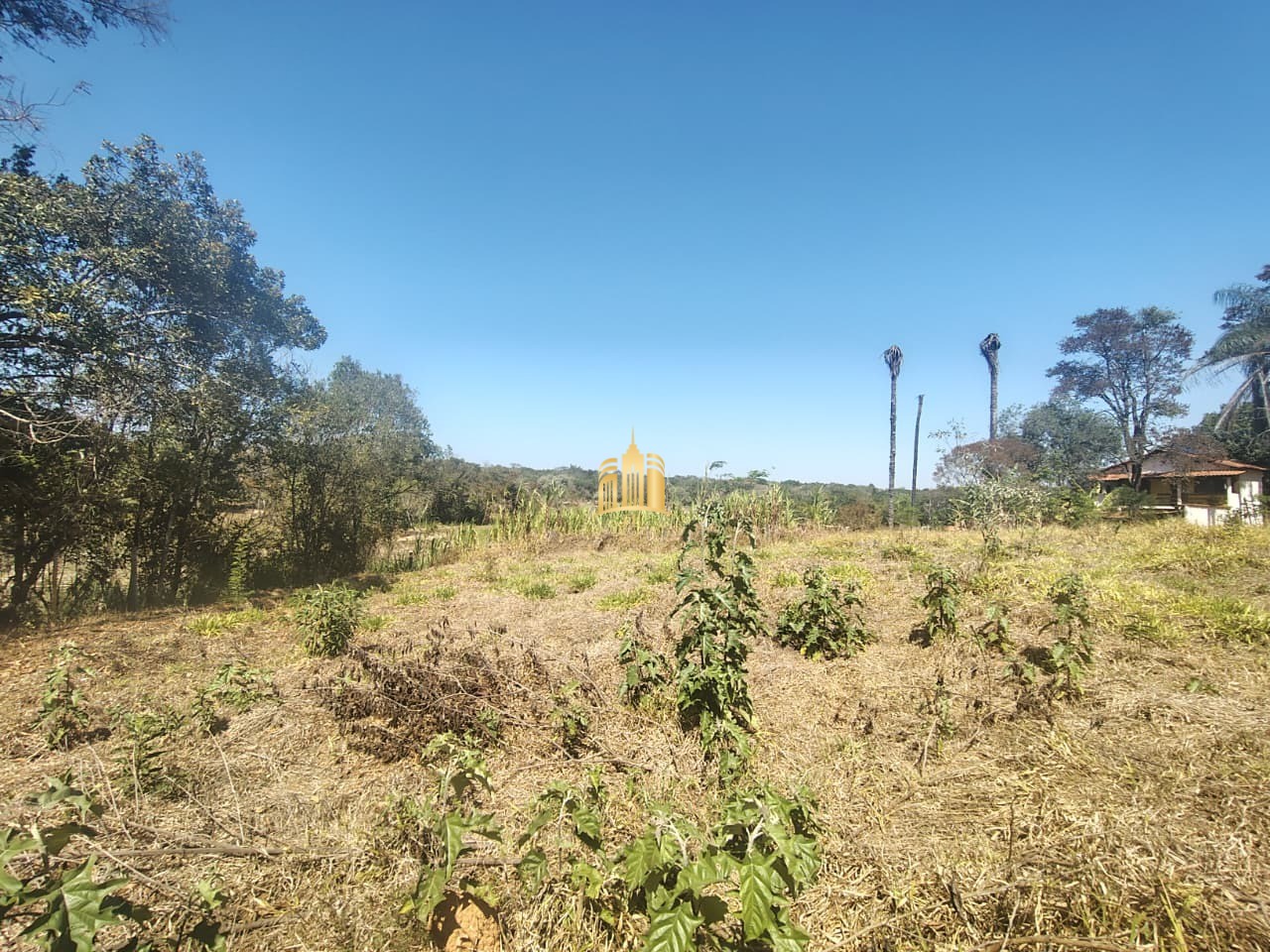 Chácara, 2 quartos, 2643 m² - Foto 13
