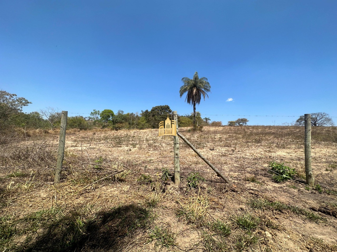 Chácara, 2 hectares - Foto 12