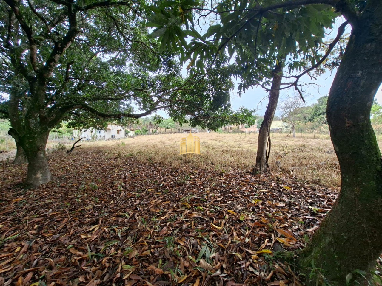 Terreno, 1060 m² - Foto 4