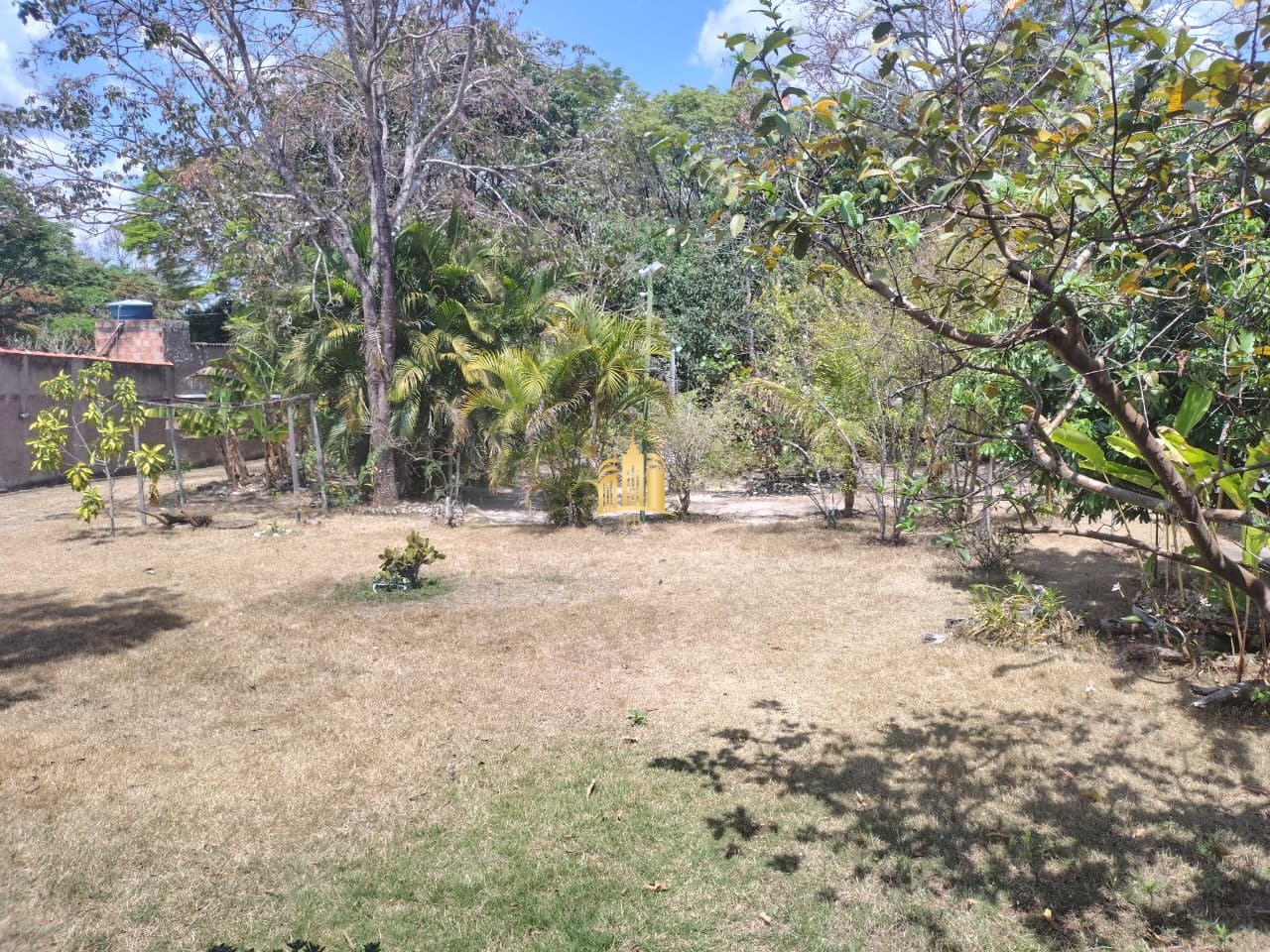 Sítio, 3 quartos, 1100 m² - Foto 6
