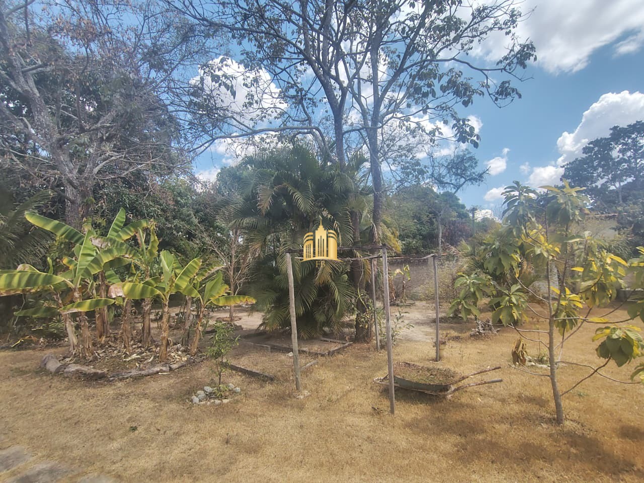 Sítio, 3 quartos, 1100 m² - Foto 9