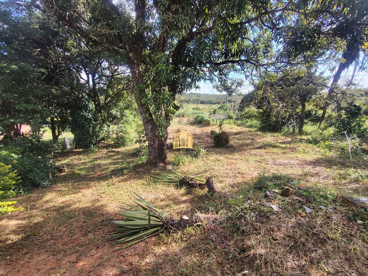 Chácara, 2 quartos, 2643 m² - Foto 15