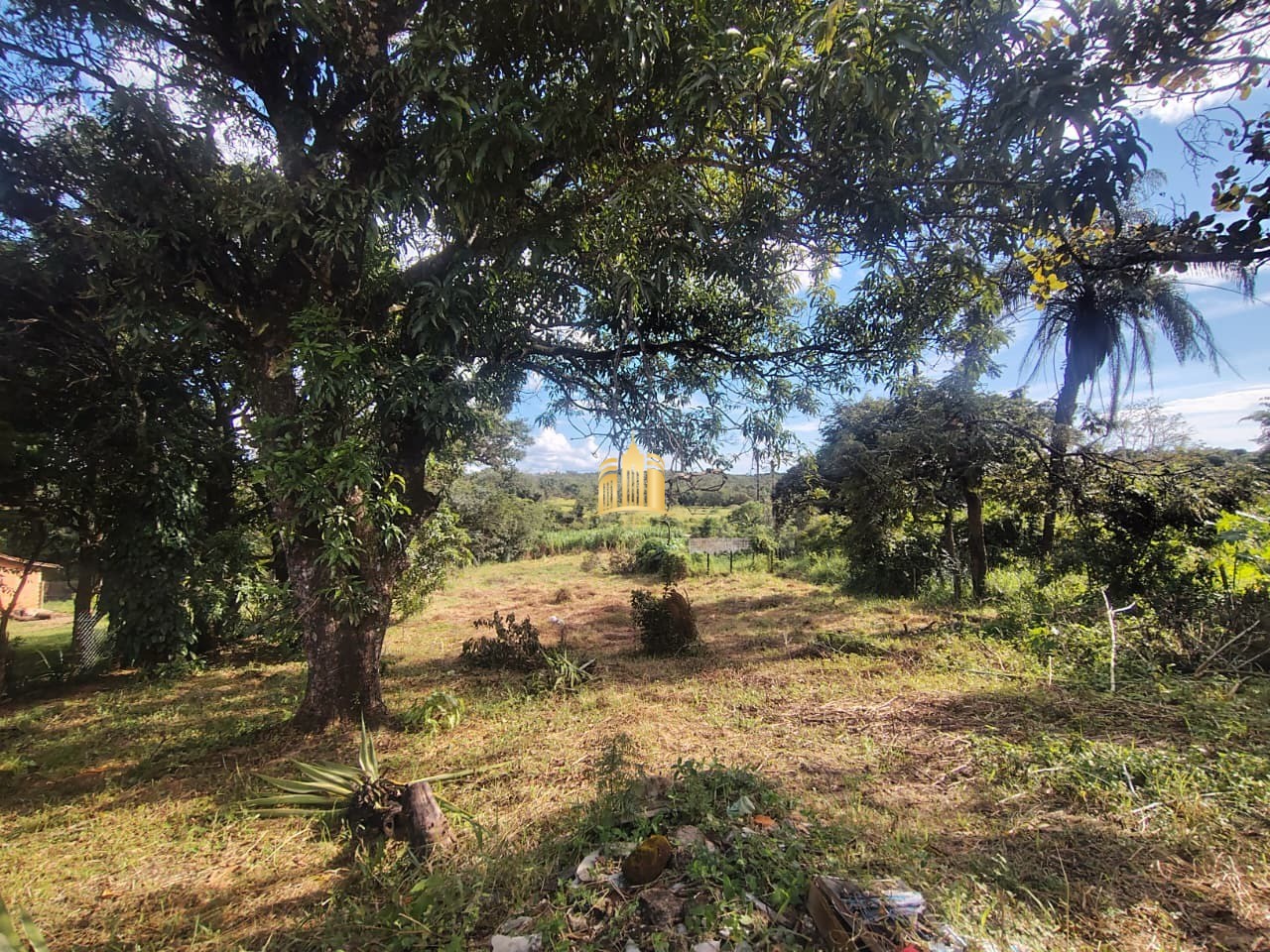 Chácara, 2 quartos, 2643 m² - Foto 14