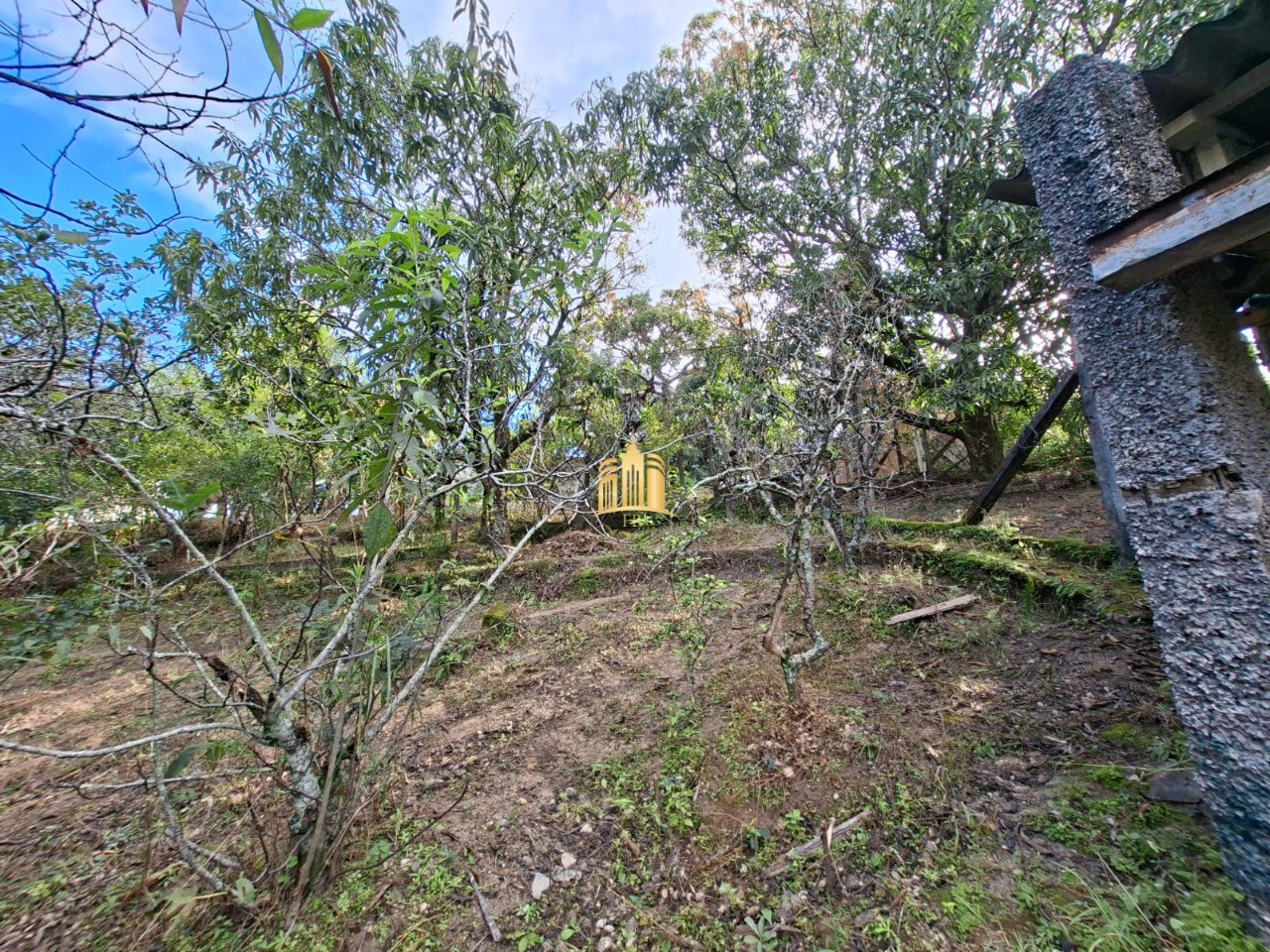 Sítio, 1 quarto, 1080 m² - Foto 3