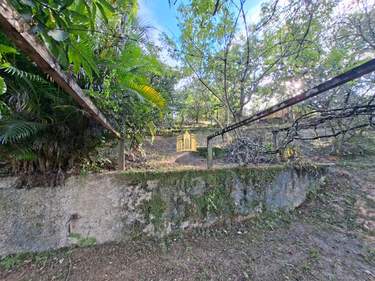 Sítio, 1 quarto, 1080 m² - Foto 17