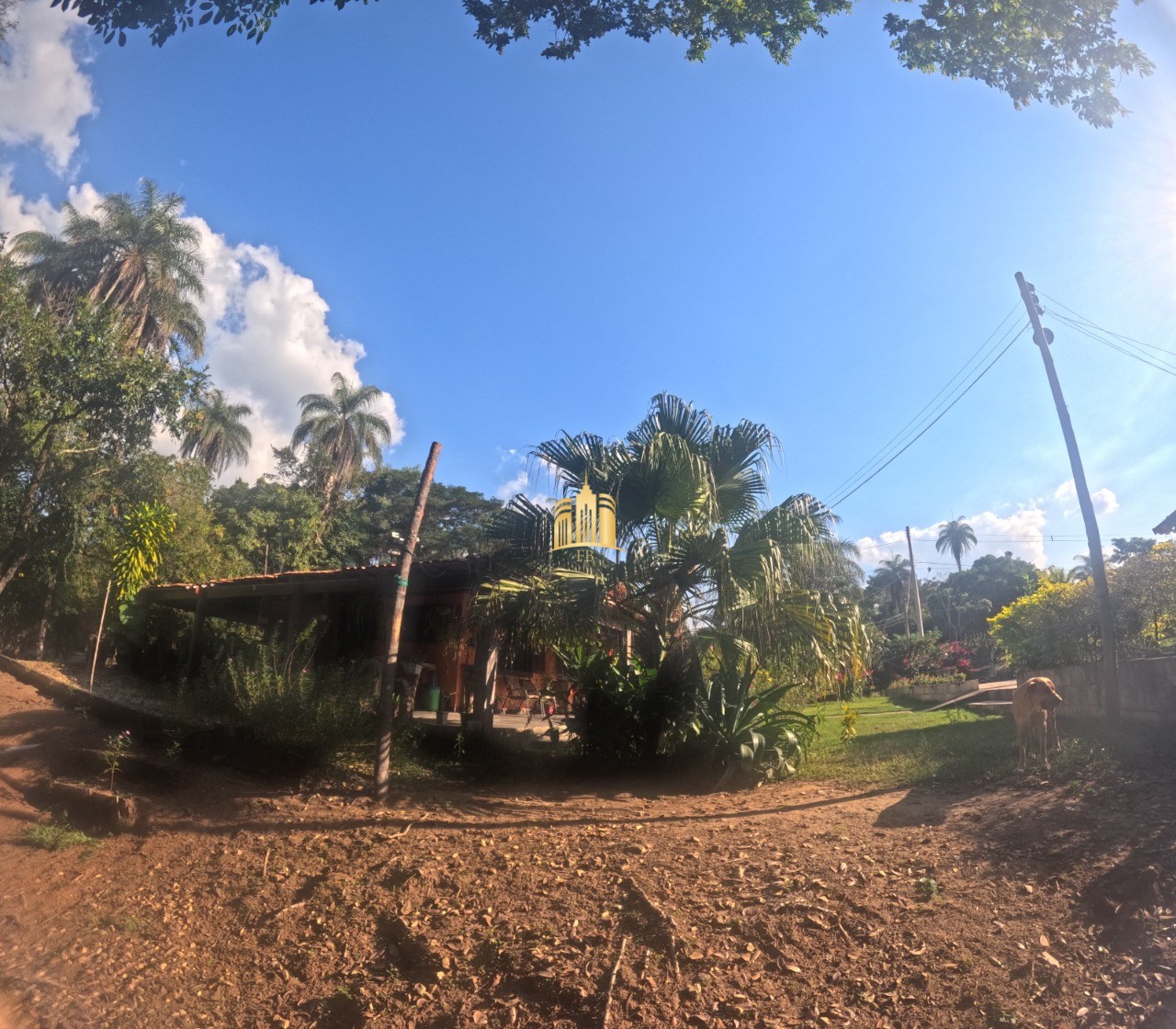 Sítio, 3 quartos, 4200 m² - Foto 23