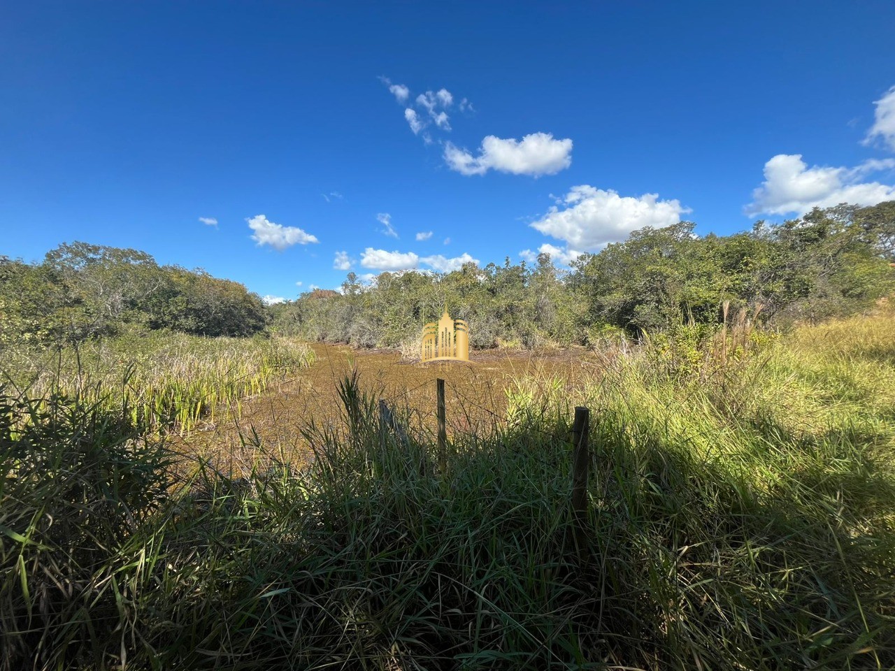 Terreno, 2500 m² - Foto 5
