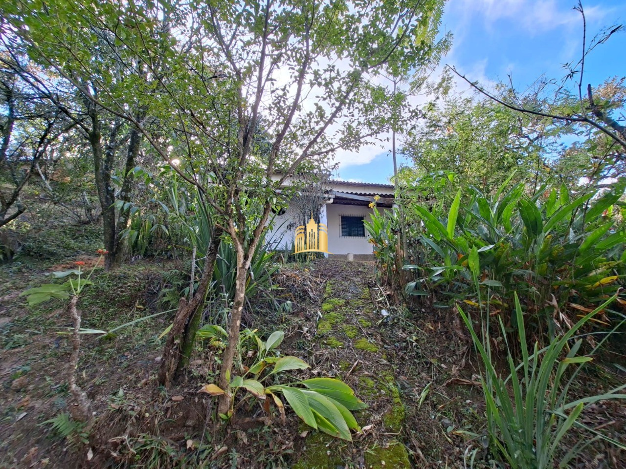 Sítio, 1 quarto, 1080 m² - Foto 1