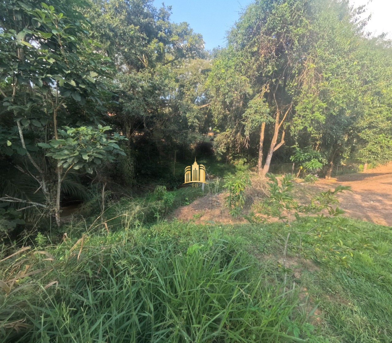 Sítio, 3 quartos, 4200 m² - Foto 8