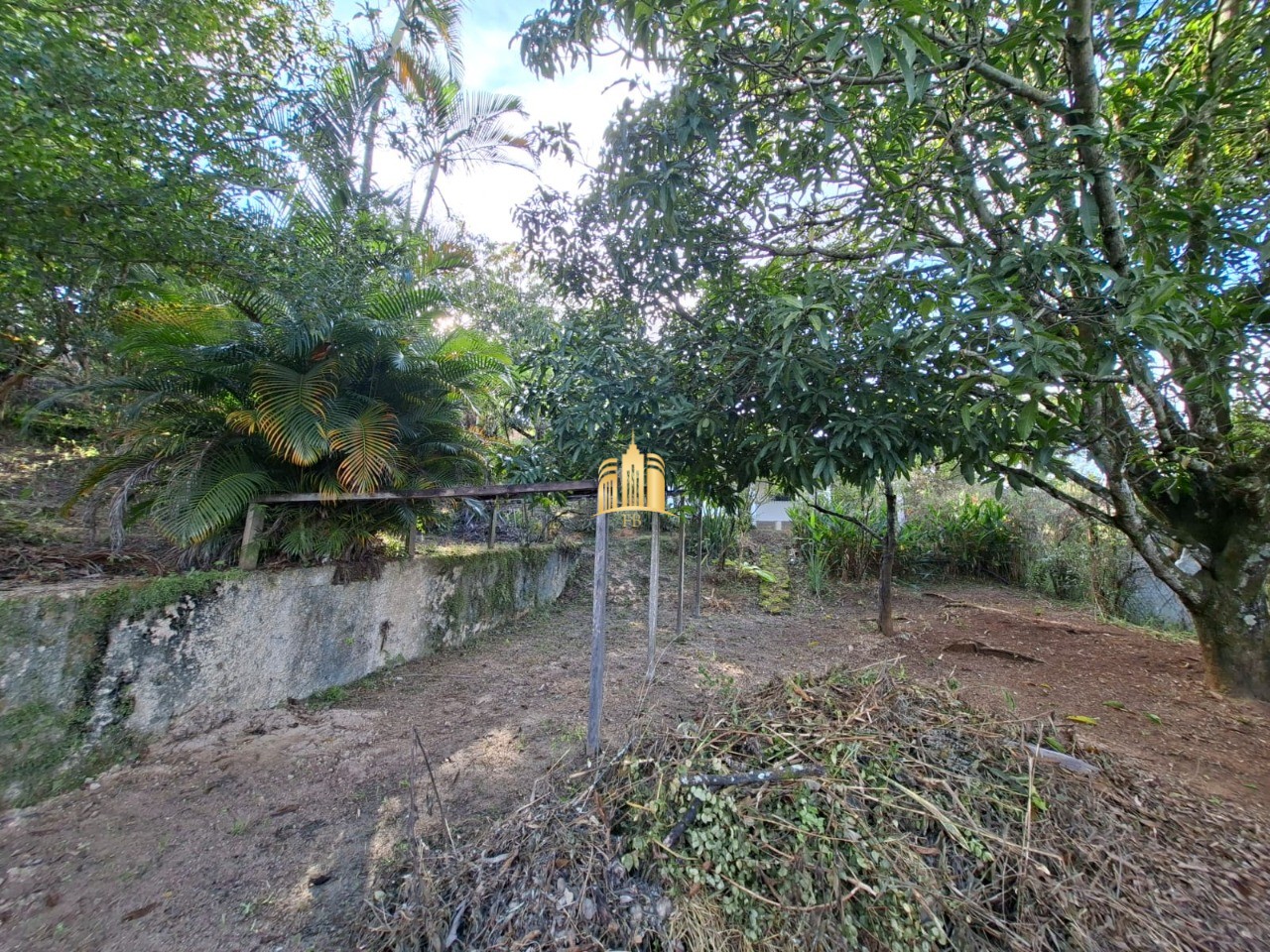Sítio, 1 quarto, 1080 m² - Foto 19