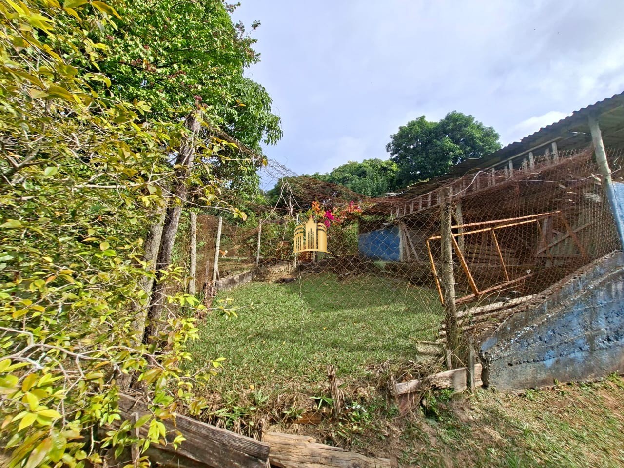 Sítio, 3 quartos, 3400 m² - Foto 22