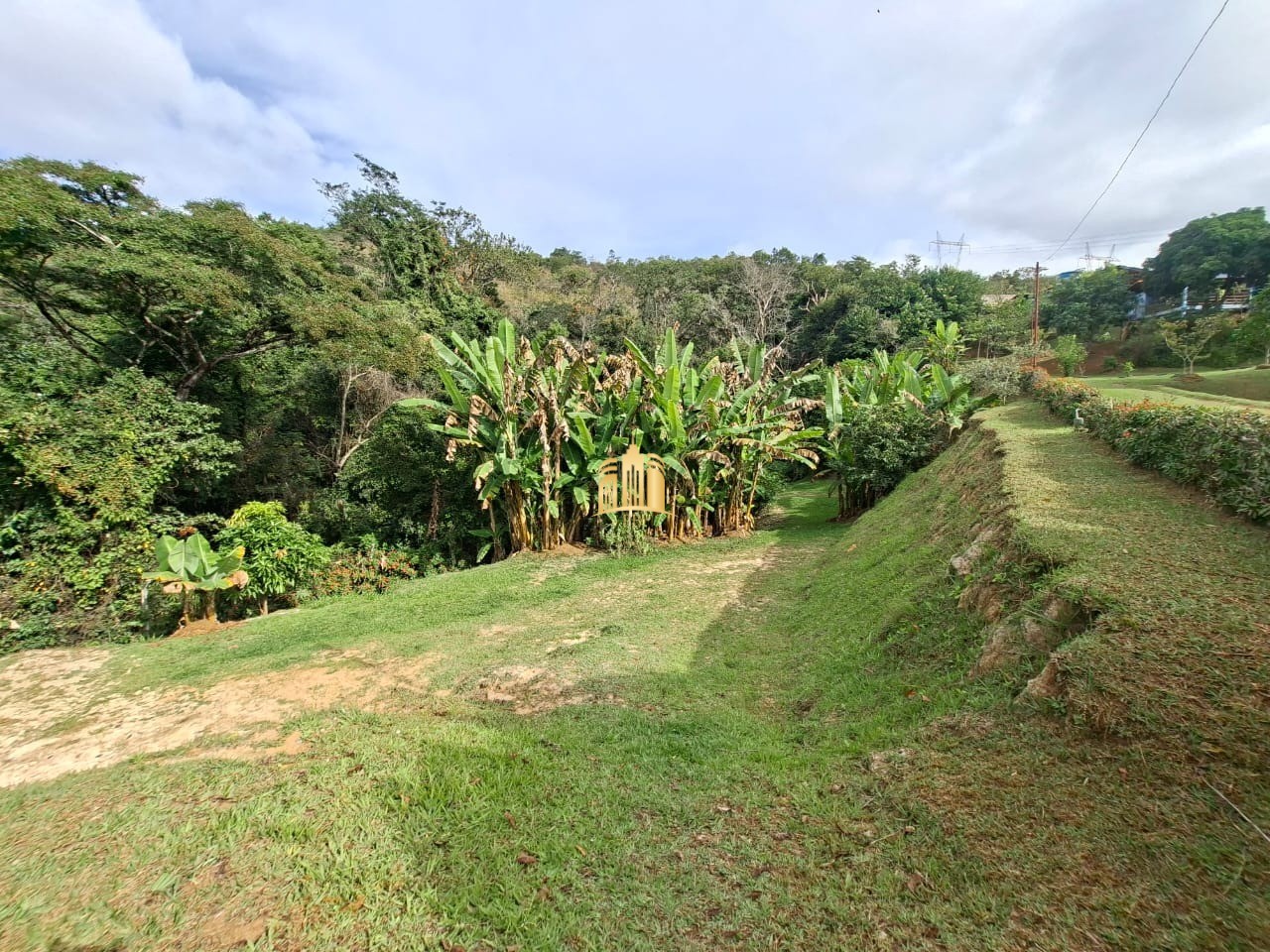 Sítio, 3 quartos, 3400 m² - Foto 19