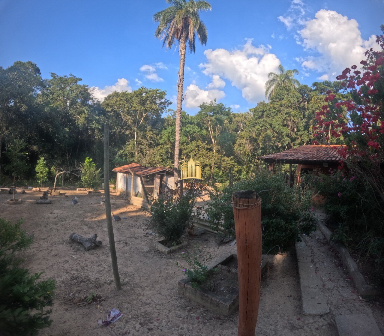 Sítio, 3 quartos, 4200 m² - Foto 47