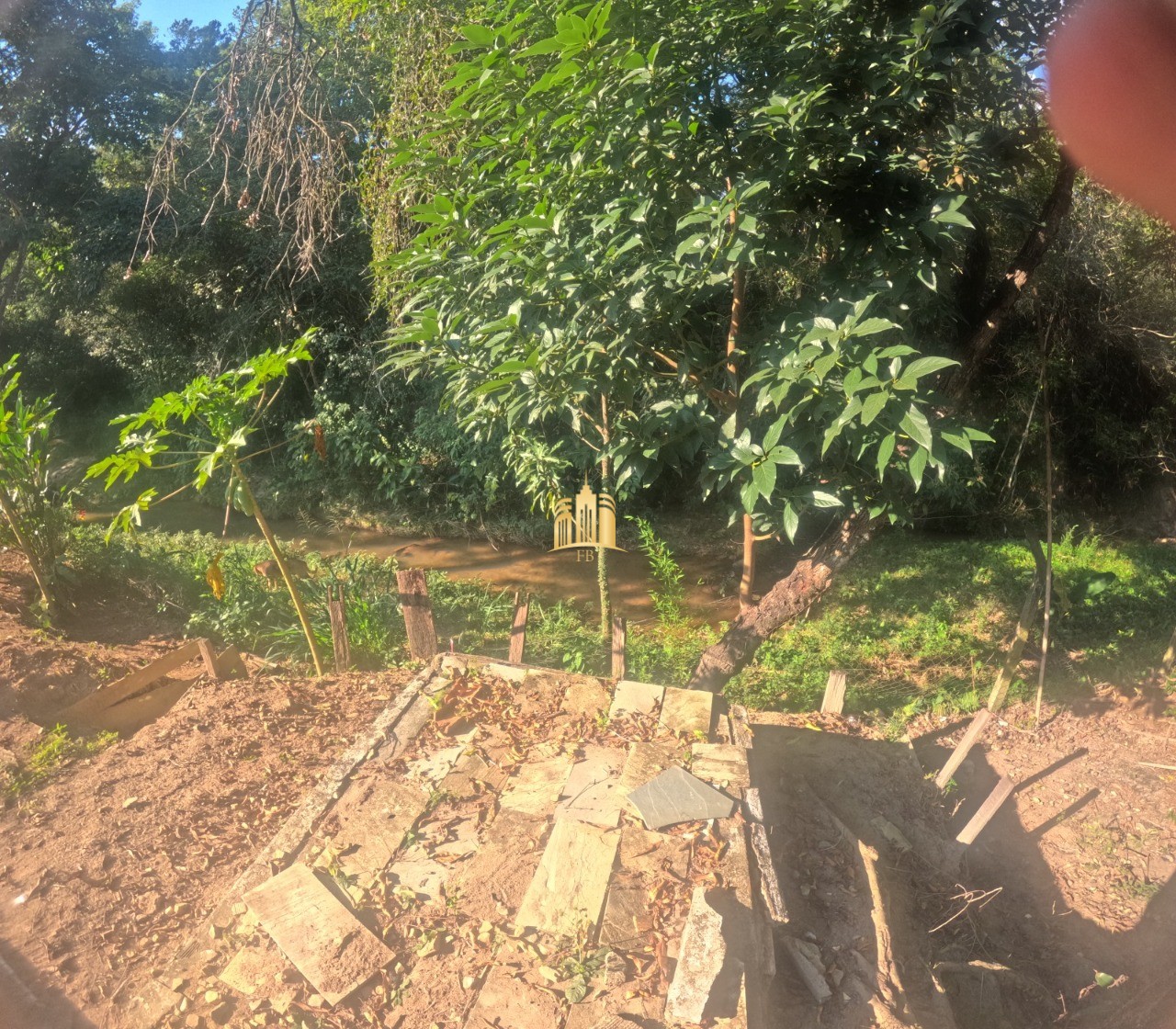 Sítio, 3 quartos, 4200 m² - Foto 33