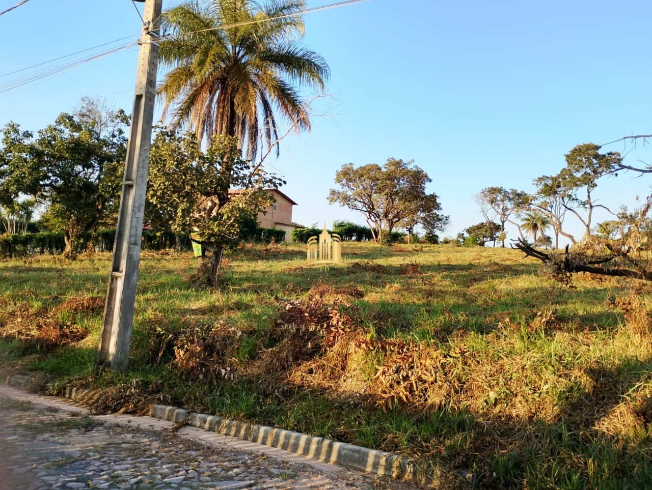 Chácara, 4511 m² - Foto 4