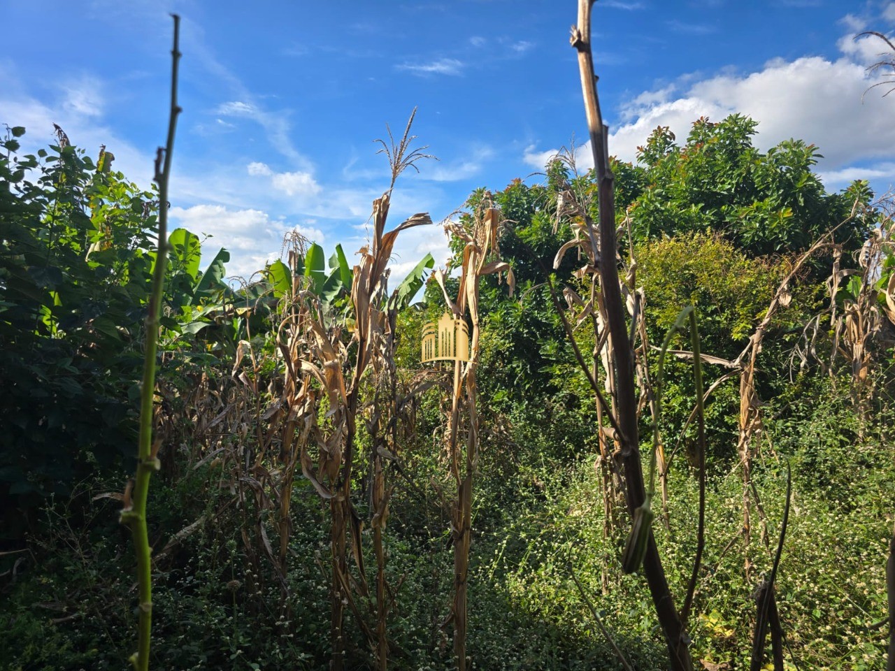 Terreno, 360 m² - Foto 5