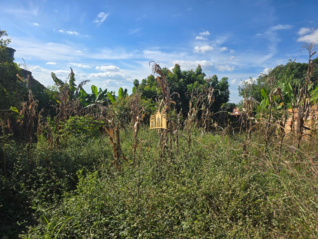 Terreno, 360 m² - Foto 4