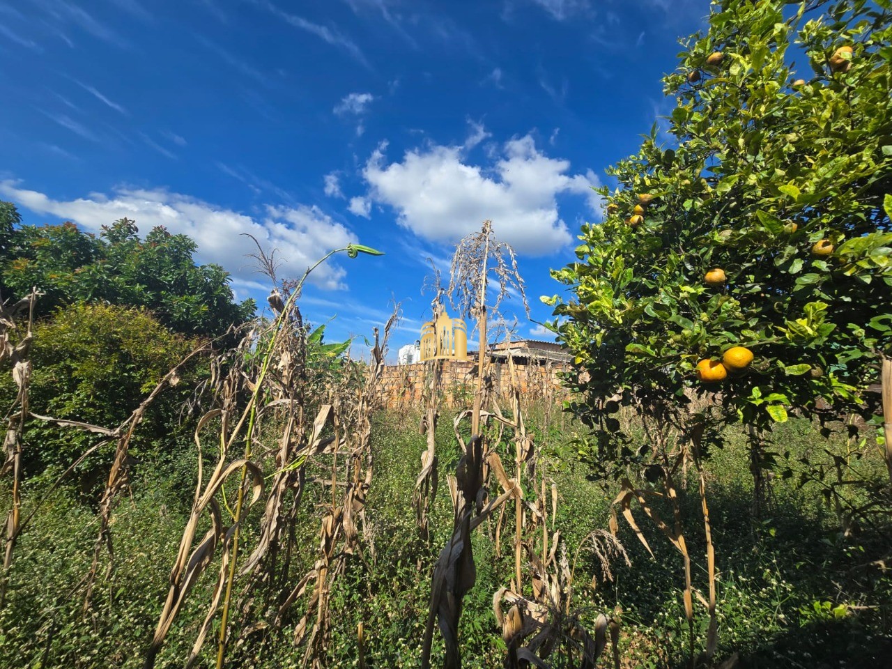 Terreno, 360 m² - Foto 1