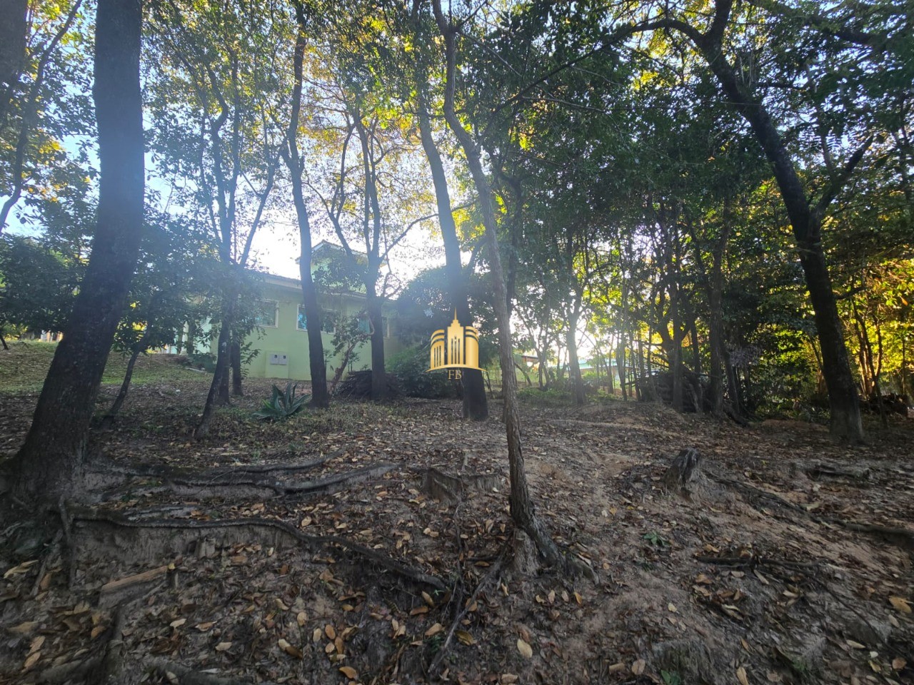 Sítio, 3 quartos, 5000 m² - Foto 8